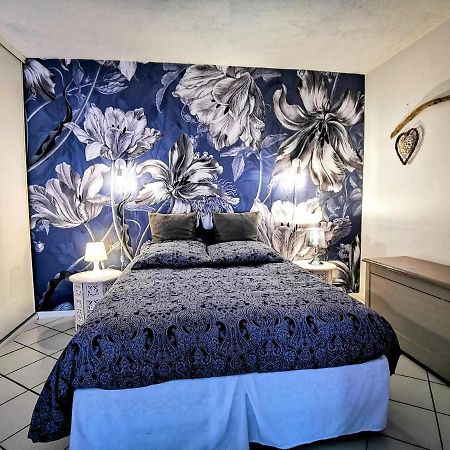 Apartament La Bulle Bleue - Parking-Terrasse-Aeoport-Meet Blagnac Zewnętrze zdjęcie