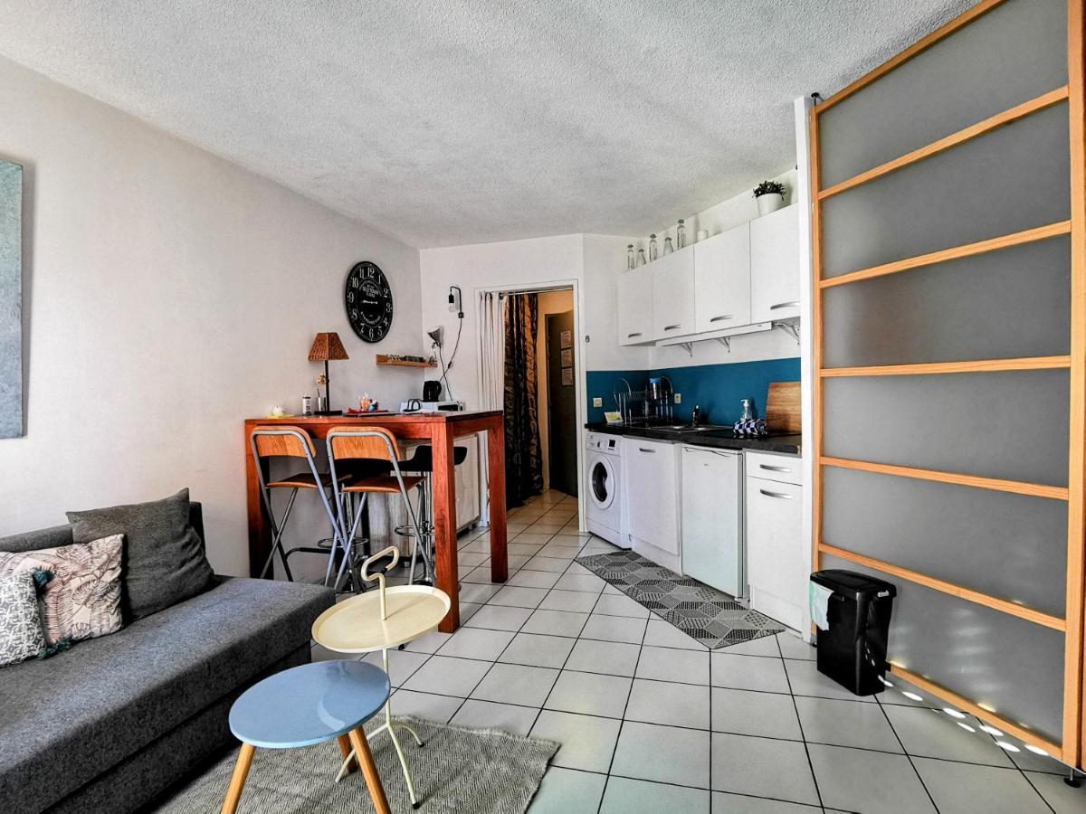 Apartament La Bulle Bleue - Parking-Terrasse-Aeoport-Meet Blagnac Zewnętrze zdjęcie