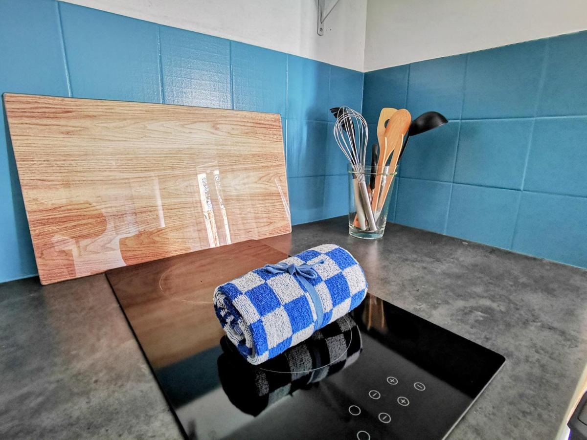 Apartament La Bulle Bleue - Parking-Terrasse-Aeoport-Meet Blagnac Zewnętrze zdjęcie