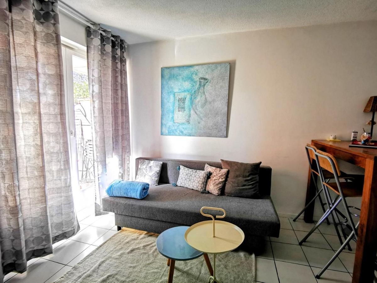 Apartament La Bulle Bleue - Parking-Terrasse-Aeoport-Meet Blagnac Zewnętrze zdjęcie